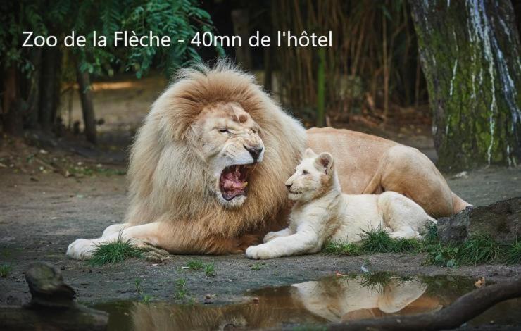 Hotel-Restaurant Ricordeau Loue Bagian luar foto